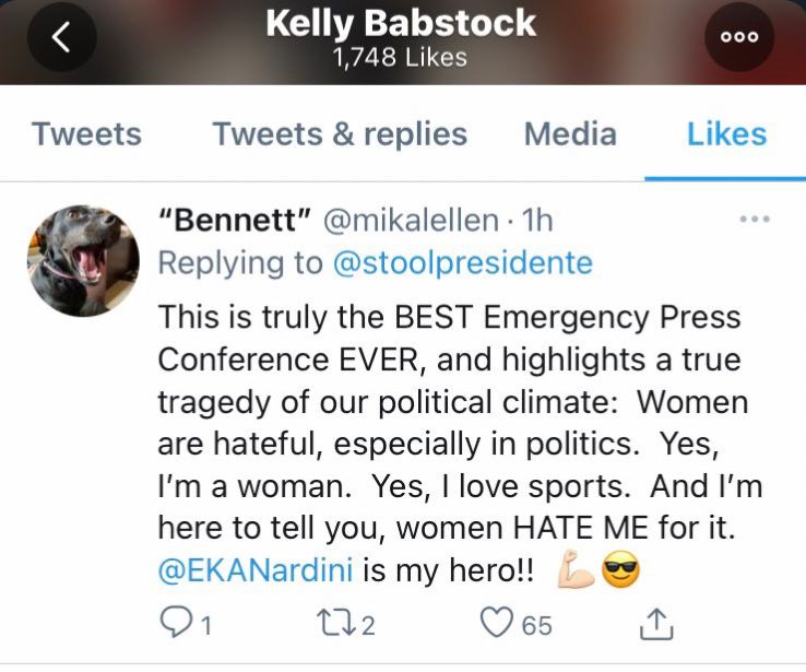 Tweet under Kelly Babstock's Twitter Likes, reading "This is truly the BEST Emergency Press Conference EVER, and highlights a true tragedy of our political climate: Women are hateful, especially in politics. Yes, I'm a woman. Yes, I love sports. And I'm here to tell you, women HATE ME for it. @EKANardini is my hero!!"