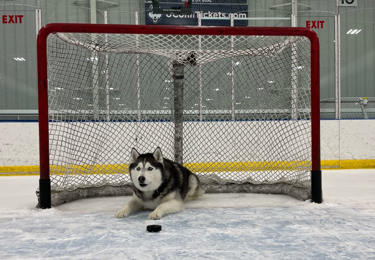 NCAA Women S Hockey What To Watch 2024 Hockey East Semifinal Wednesday   GHwxGVcXoAAW1IQ 