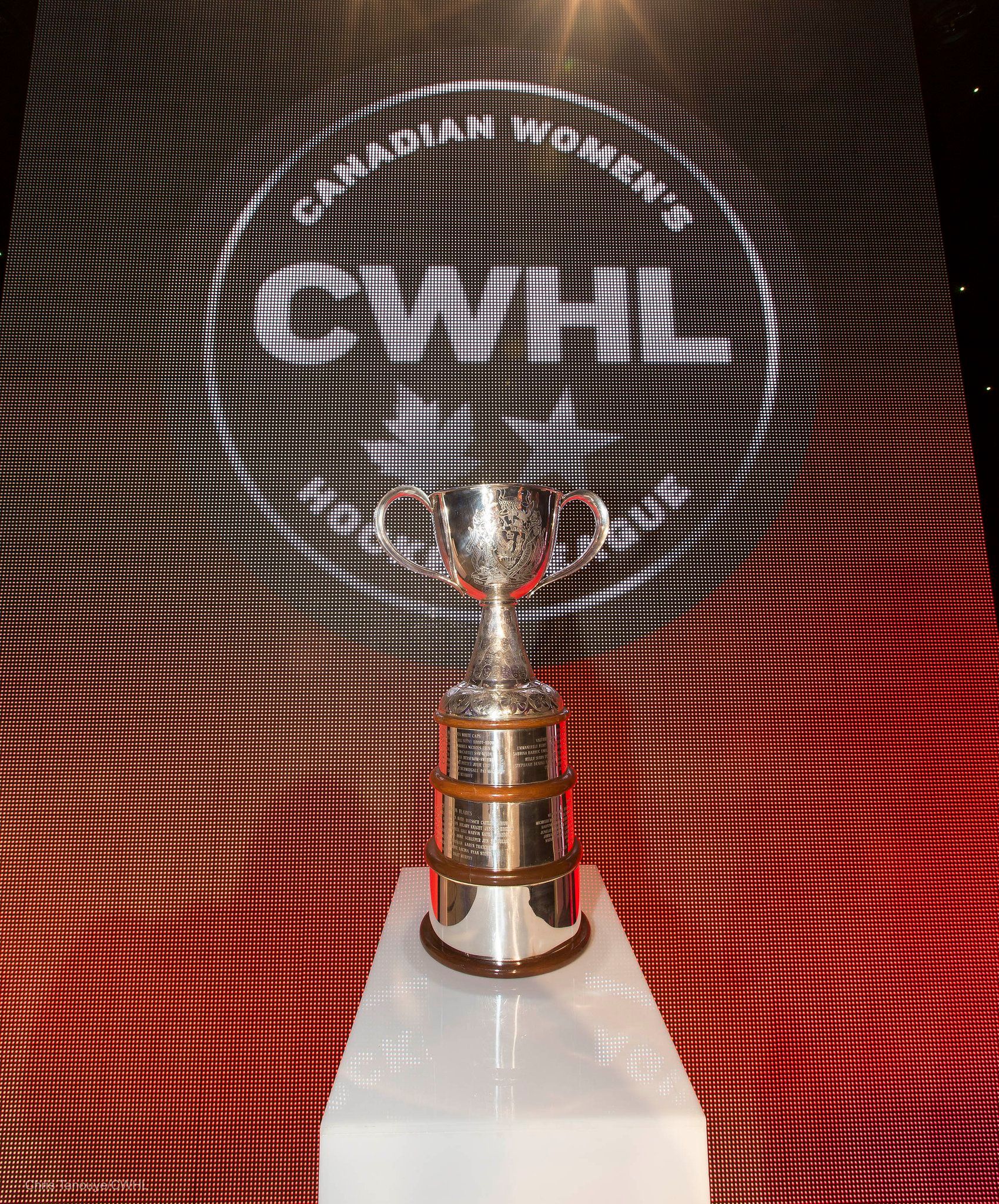 CWHL Midseason Thoughts: Road to the Clarkson Cup