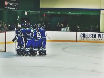 NWHL: Connecticut Whale Fight Past NY Riveters