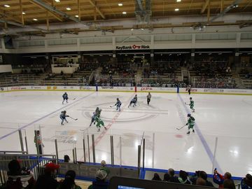 NWHL: Beauts Rally, Fall to Whale
