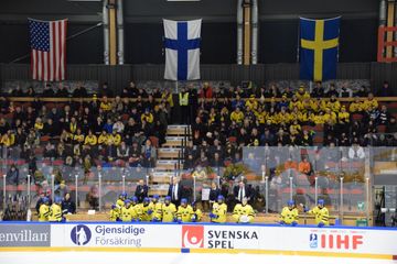 Anders Larsson Sets Goals for Sweden's Women's Hockey Future