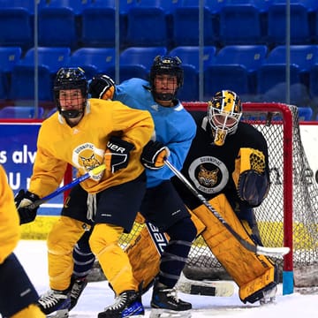 NCAA Women's Hockey Playoffs: What to Watch, February 28-March 1