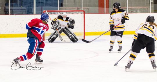 CWHL Draft Preview