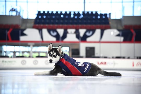 NCAA Women's Hockey: What to Watch, September 26-29